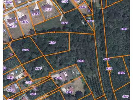 à vendre – parcelle de bois de 15032 m² à villefranche sur cher 41200