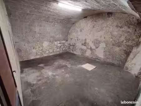cave en pierre voutée très saine de 24m² : hypercentre bordeaux (st mich) : eclairage + pr