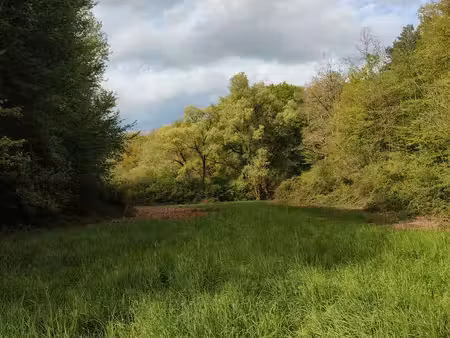 prairie - terrain de loisir