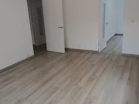 appartement ile verte 4p 72 m2