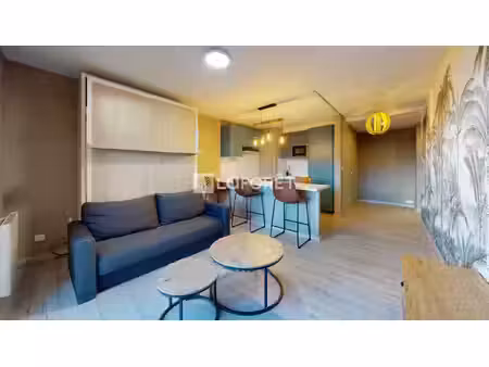 très bel appartement une pièce 31m2 lingolsheim