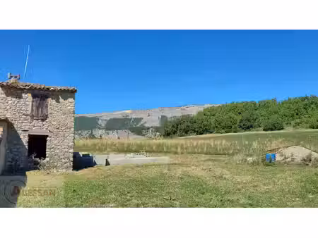 terrain