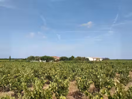 atypique petit domaine viticole ab et biodynamie en cave particu