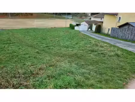 achat terrain 1 000m² st didier en velay 43140