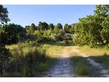 saint-rémy-de-provence - terrain à bÂtir - 1.000m² + 200 m² d'accès - plein sud - au.