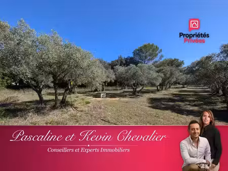 à vendre - terrain 3200m² en zone artisanale à grans (13)