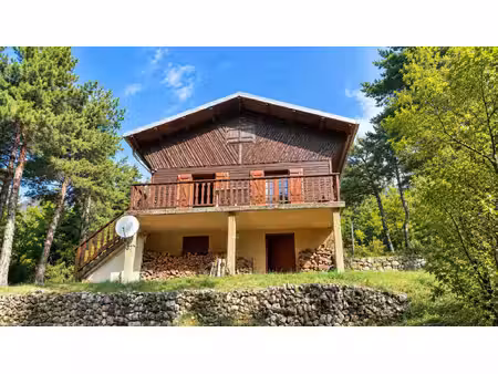chalet en bois avec terrasse plein sud et grand terrain arboré de 2 680 m²