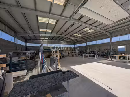 vente local d’activités saint carne 22100 390m²