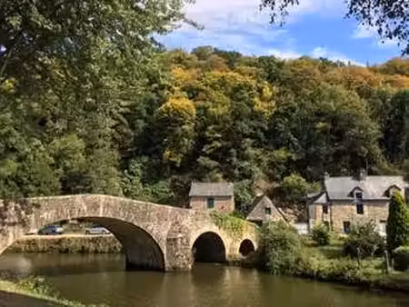 vente terrain à lehon (22100) : à vendre / 315m² lehon