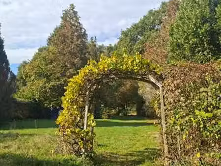vente maison à château-la-vallière (37330) : à vendre / 111m² château-la-vallière