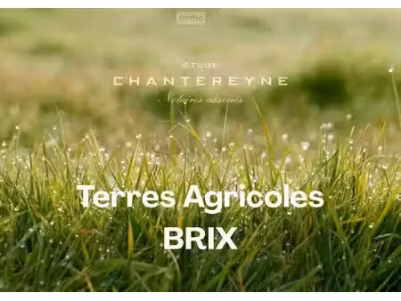 vente terrain 6221 m² à brix (50700)  3 610 €