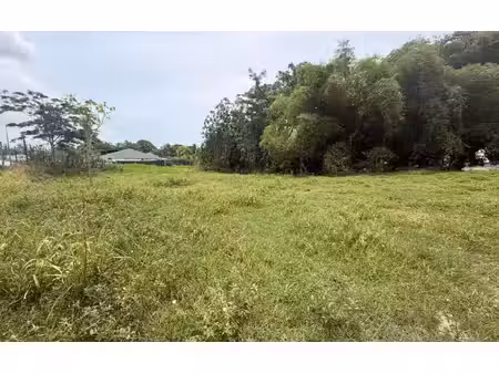 terrain petit-bourg m² t- à vendre  440 000 €