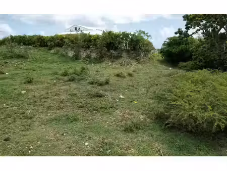 terrain saint-françois m² t- à vendre  180 000 €