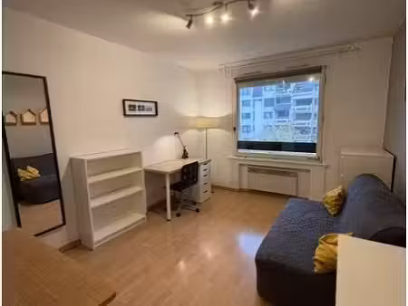 location appartement 1 pièce 20m²