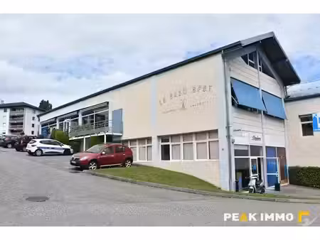location locaux professionnels 0 pièces 278 m² à annecy (74000)  3 700 €