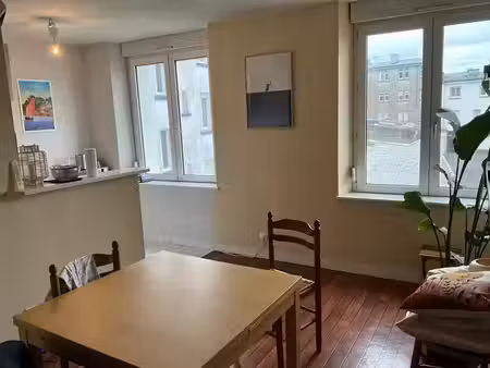 brest saint-martin : t1 bis lumineux et au calme  exposé plein sud  proche facultés