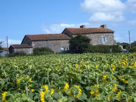 charmante propriété en pierre avec tour  caractère et potentiel d'aménagement  proche de..
