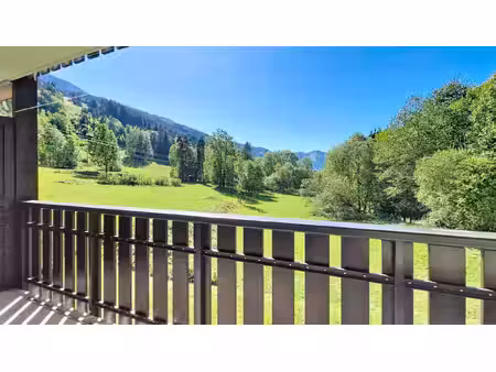 abondance - 1 piece - vue degagee
