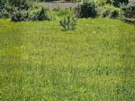 terrain a batir auxerre proche commodites