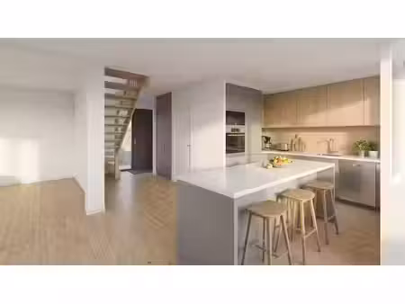 vente maison neuve 5 pièces 115 m² à la forêt-fouesnant (29940)  533 819 €