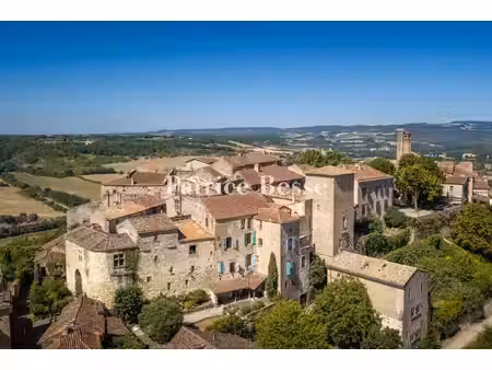 à 20 min d'albi  demeure médiévale du 13e s. avec cour & jardin