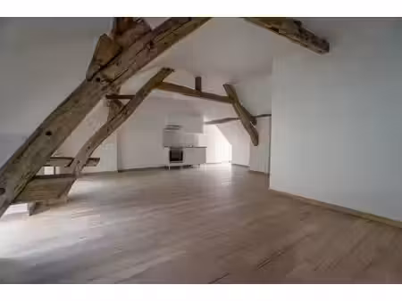 appartement 2 pieces / 1 chambre / environ 75 m2 au sol / 54 m2 carrez