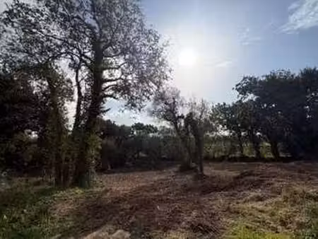 vente terrain à locmaria-plouzané (29280) : à vendre / 1714m² locmaria-plouzané