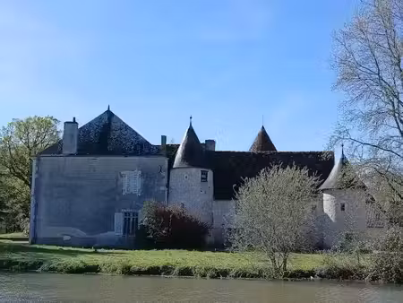 vente manoir 0 pièces 330 m² à buzançais (36500)  649 700 €