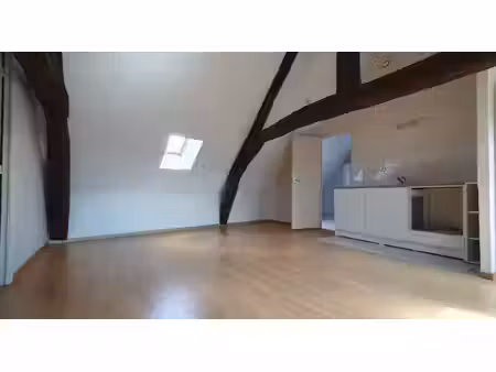 appartement olivet bourg 2 pièces