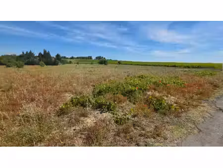 a vendre urgent ensemble de terrains agricoles 15 355 m2