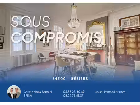 centre historique - béziers appartement t2 de 80 m2