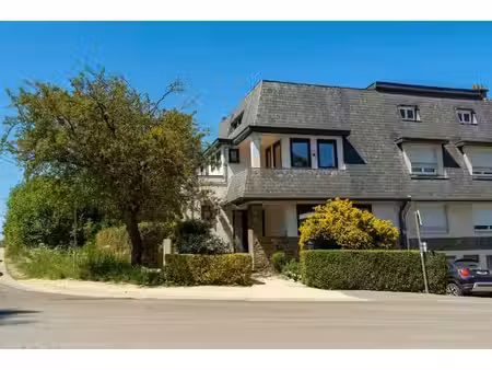 maison rénovée 3 façades avec grand jardin