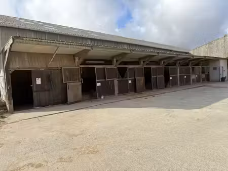 exclusivité  ecurie 30 boxes  2 manèges  carrière  8 ha