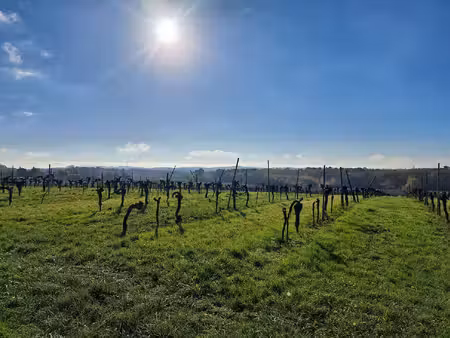 terrain à bâtir