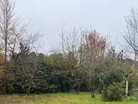 terrain à bâtir à ambarès-et-lagrave (33440)