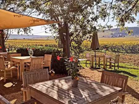 superbe restaurant avec logement privé dans les vignes de la bourgogne