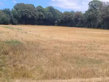 vente terrain à plouigneau (29610) : à vendre / plouigneau