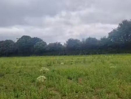 vente terrain à landivisiau (29400) : à vendre / landivisiau