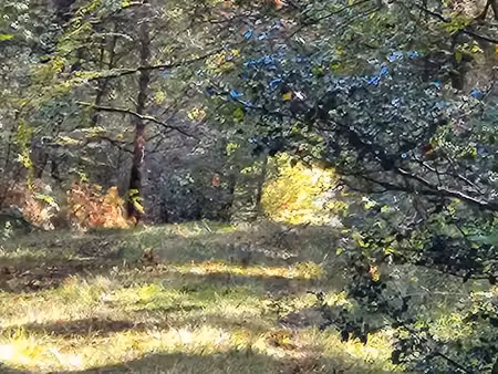 demande location