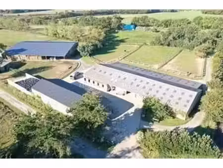 haras de reproduction clé en main sur 52 ha dans le morbihan (5