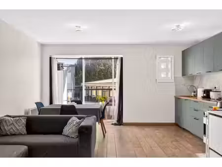 investissement - t2 rénové avec loggia et cave  vendu loué