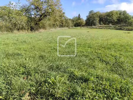 terrain en partie constructible  dans un environnement paisi
