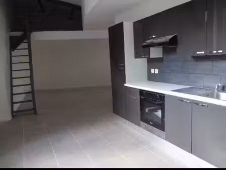 appartement duplex rue de france entièrement refait récemment avec cuisine équipée