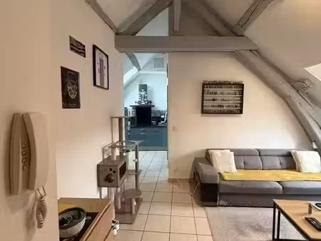 très bel appartement proche du centre-ville de limay