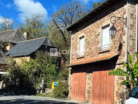 vallon de pruines: corps de ferme avec 4600 m2 * vigne et verger*