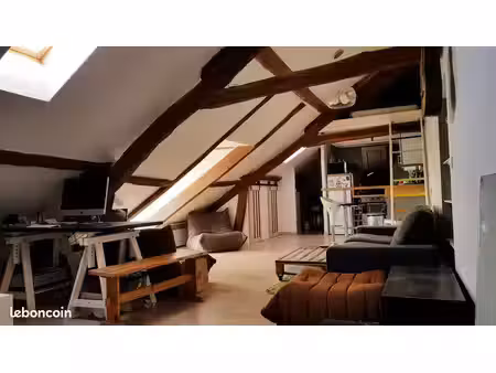 loft atypique – 55 m² au sol – vue sur le parc du château – rambouillet hypercentre