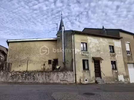 à vendre – maison à fort potentiel à orny (57420)