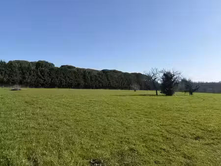 vente terrain 810 m² à noaillan (33730)  76 000 €