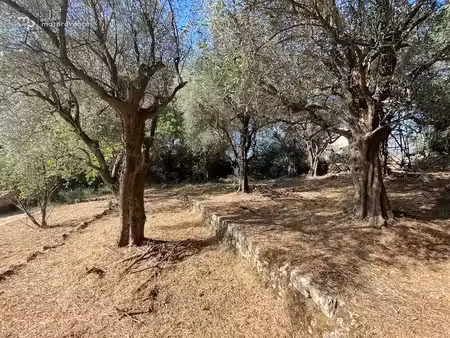 vente terrain à batir 846 m² à grasse (06130)  235 000 €
