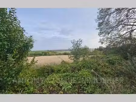 vente terrain bord de mer à tourville-sur-sienne (50200) : à vendre bord de mer / 1468m² t